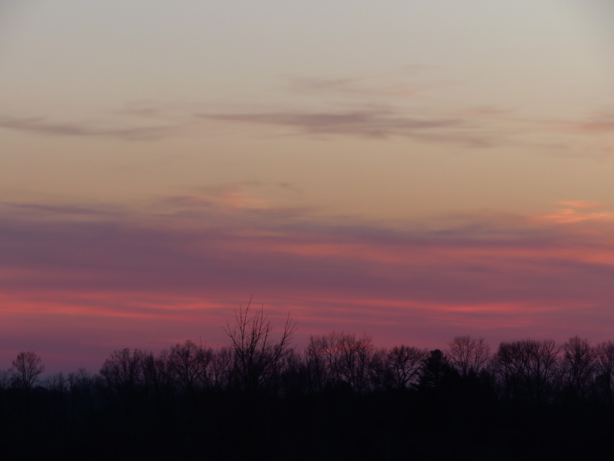 Canon PowerShot SX730 HS sample photo. Good night photography
