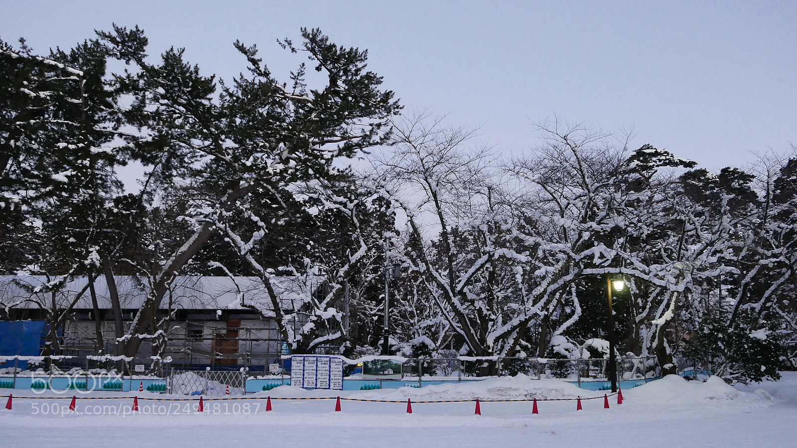 Leica D-Lux (Typ 109) sample photo. 冬雪。。。 photography