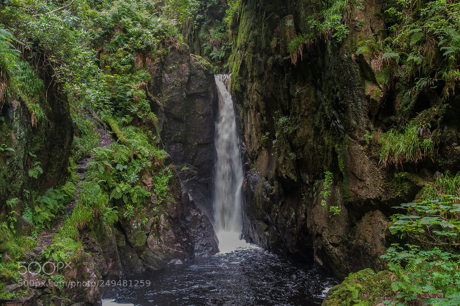 Nikon D90 sample photo. Dalesgarth falls, cumbria photography