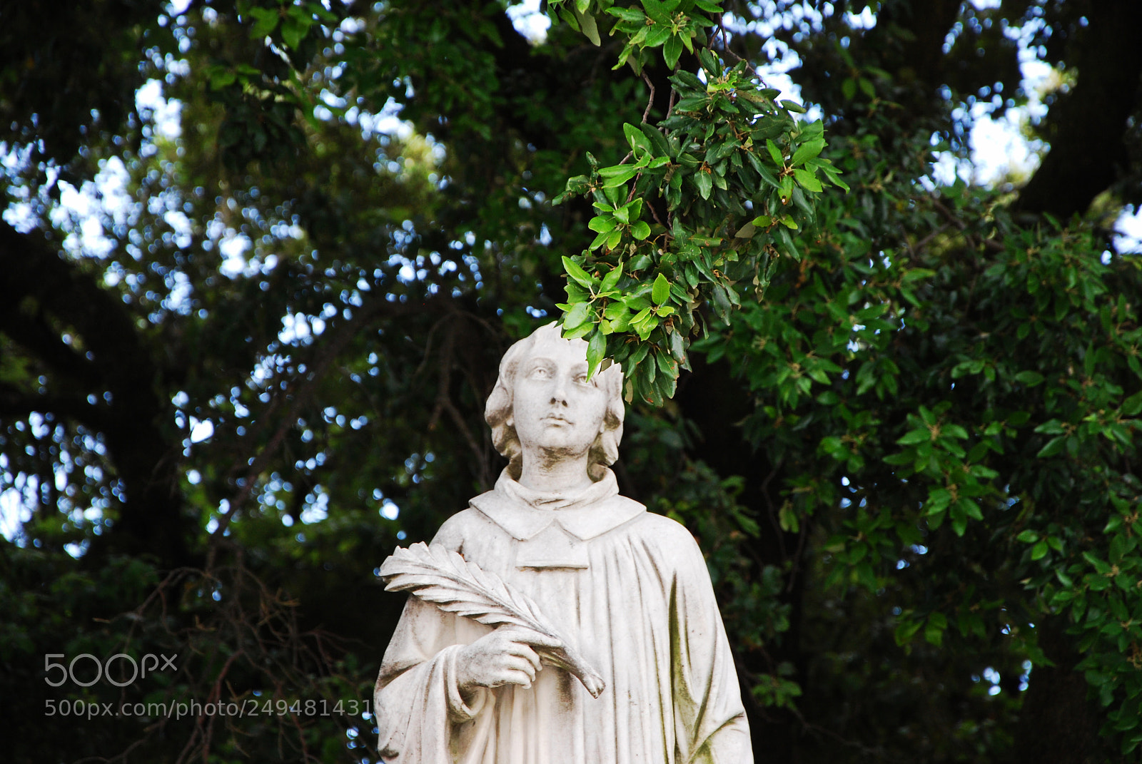 Nikon D60 sample photo. Green on my mind photography