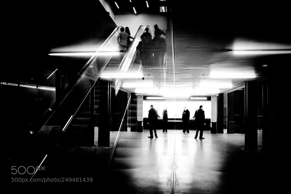 Fujifilm X-T2 sample photo. Untitled photography