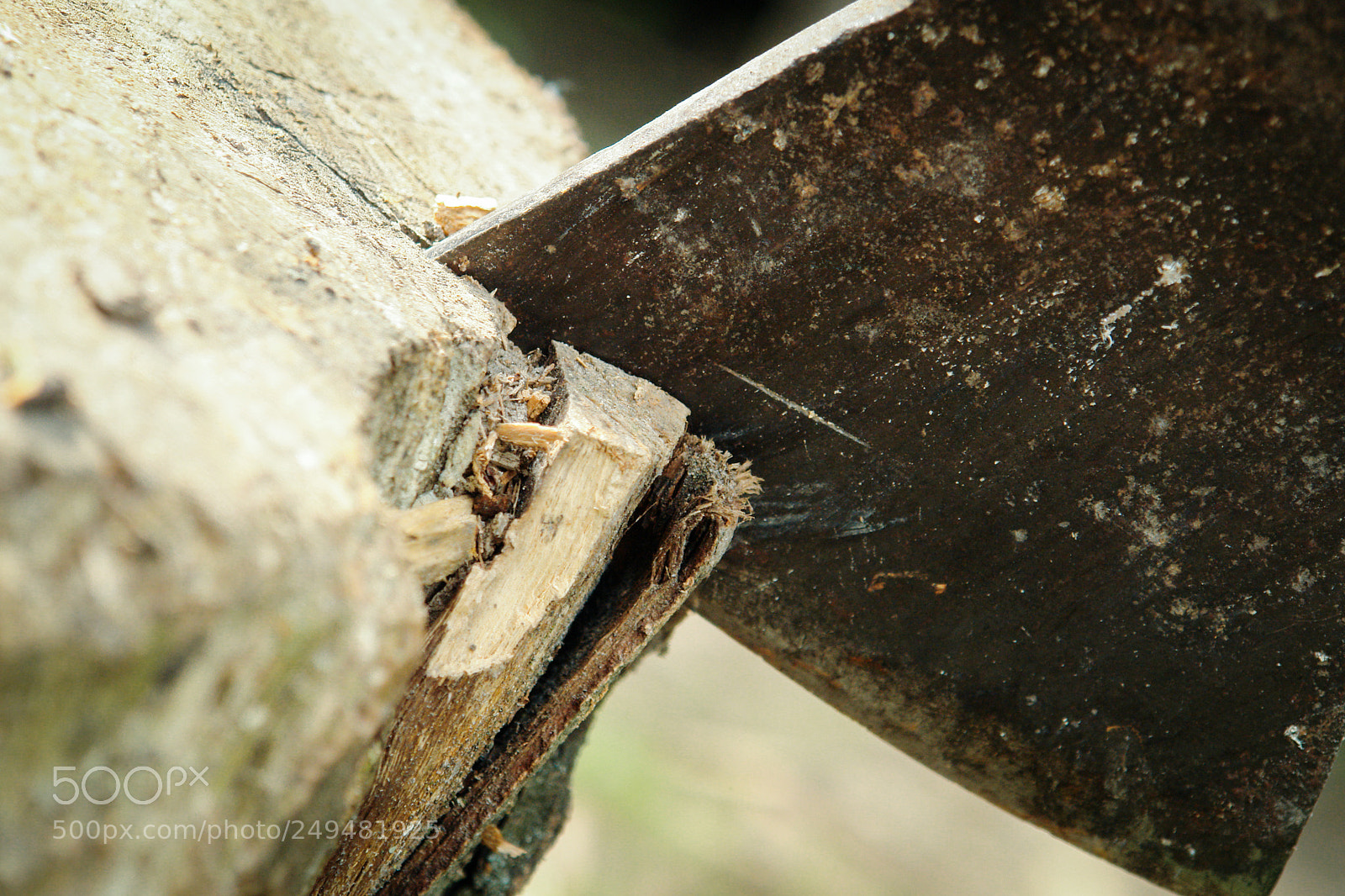 Sony DSC-R1 sample photo. The ax in the photography