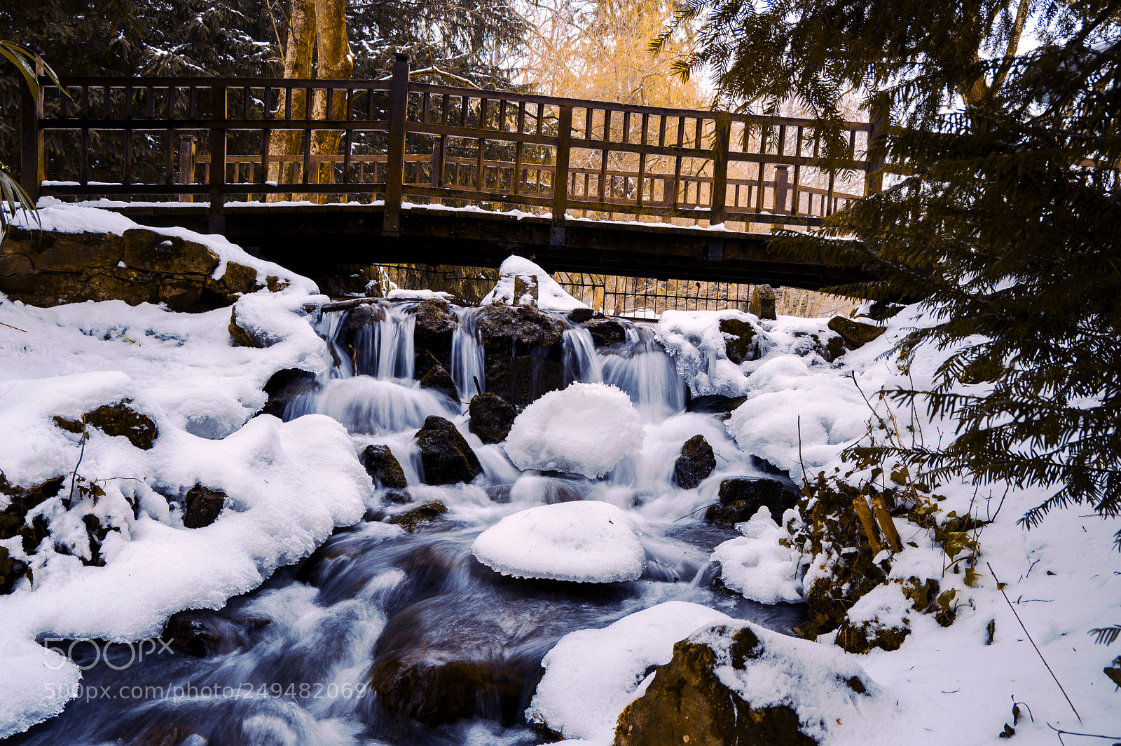 Nikon D3200 sample photo. Frozen park photography