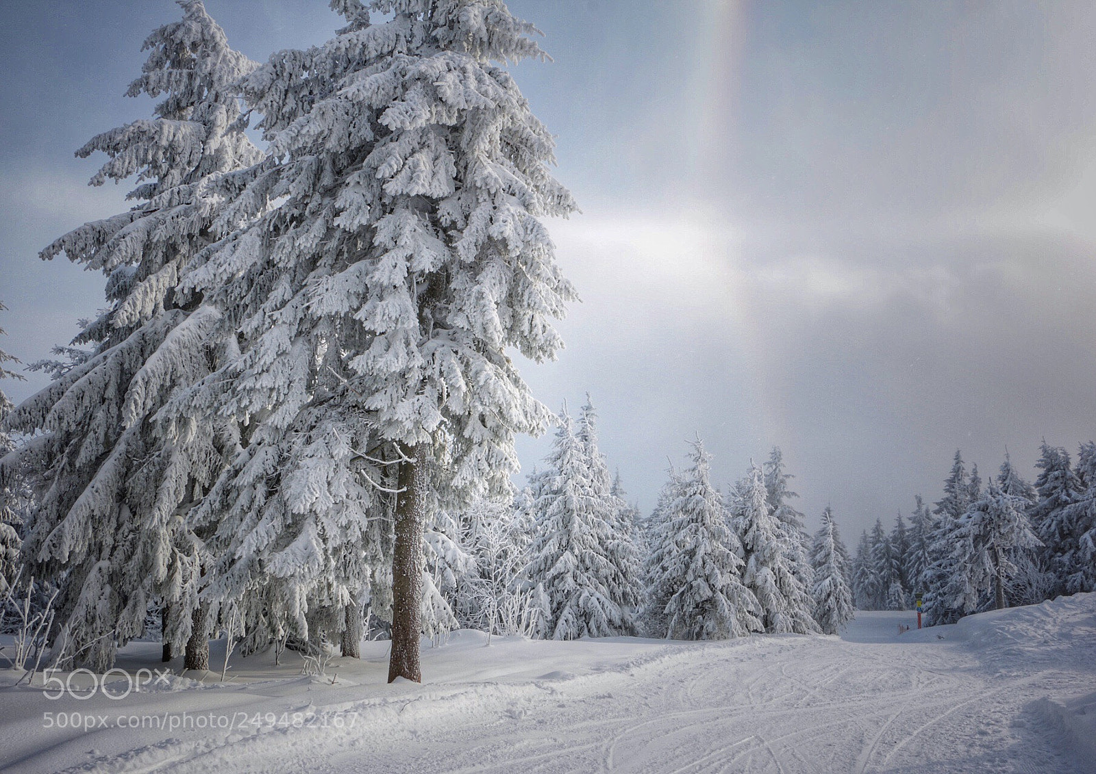 Canon EOS 70D sample photo. Snow photography