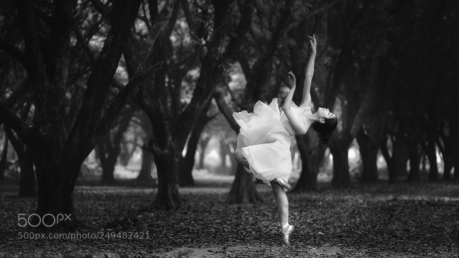 Fujifilm X-T20 sample photo. Untitled photography