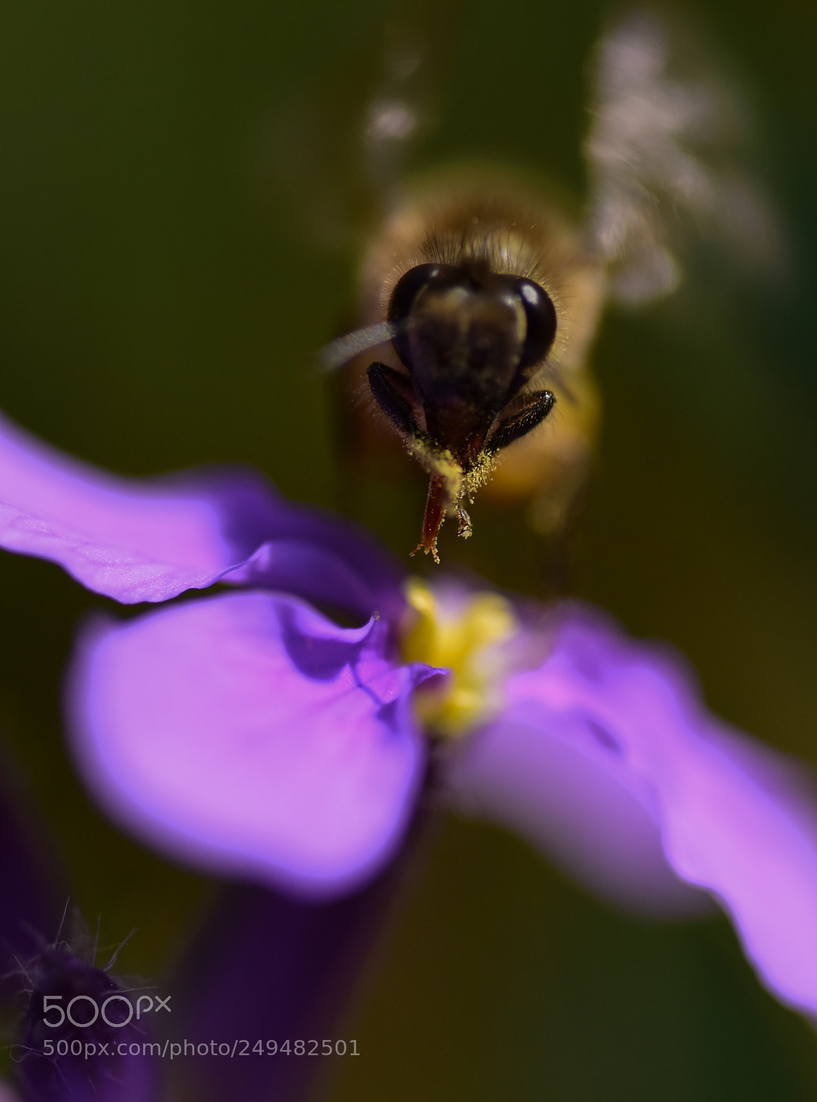 Nikon D810 sample photo. Beautiful sunshine photography