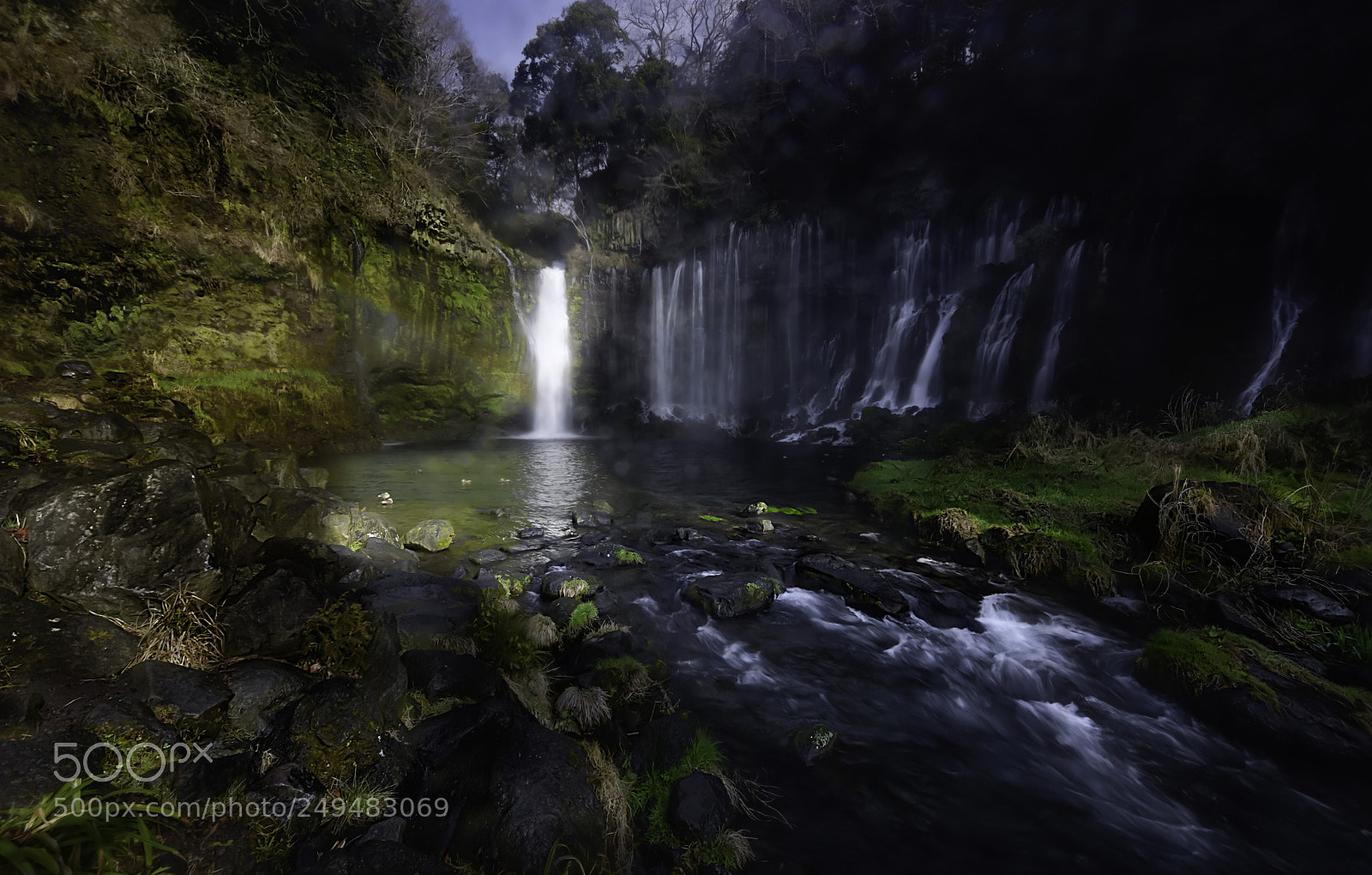 Nikon D810 sample photo. 白糸の滝 photography