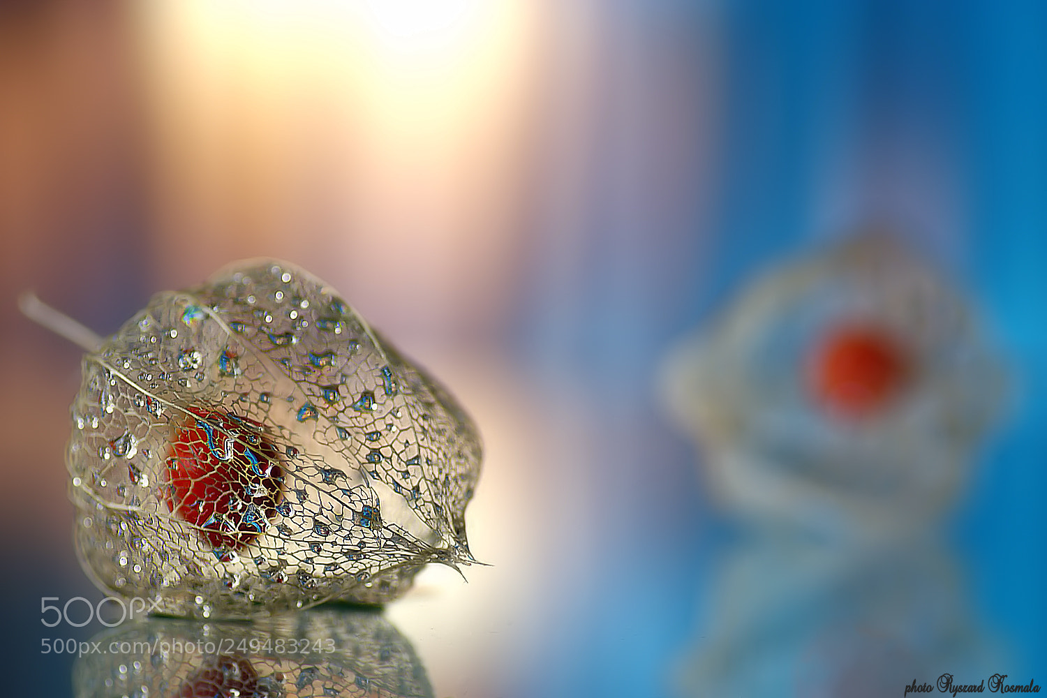 Sony Alpha DSLR-A300 sample photo. Trapped hearts photography