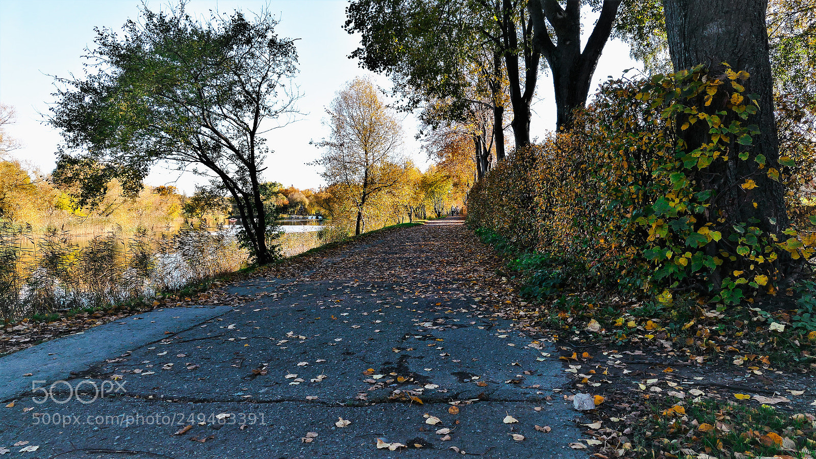 Panasonic Lumix DMC-FZ1000 sample photo. Into the park photography