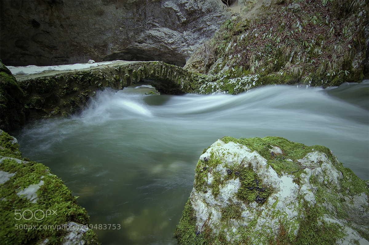 Pentax K-3 II sample photo. Bridge photography