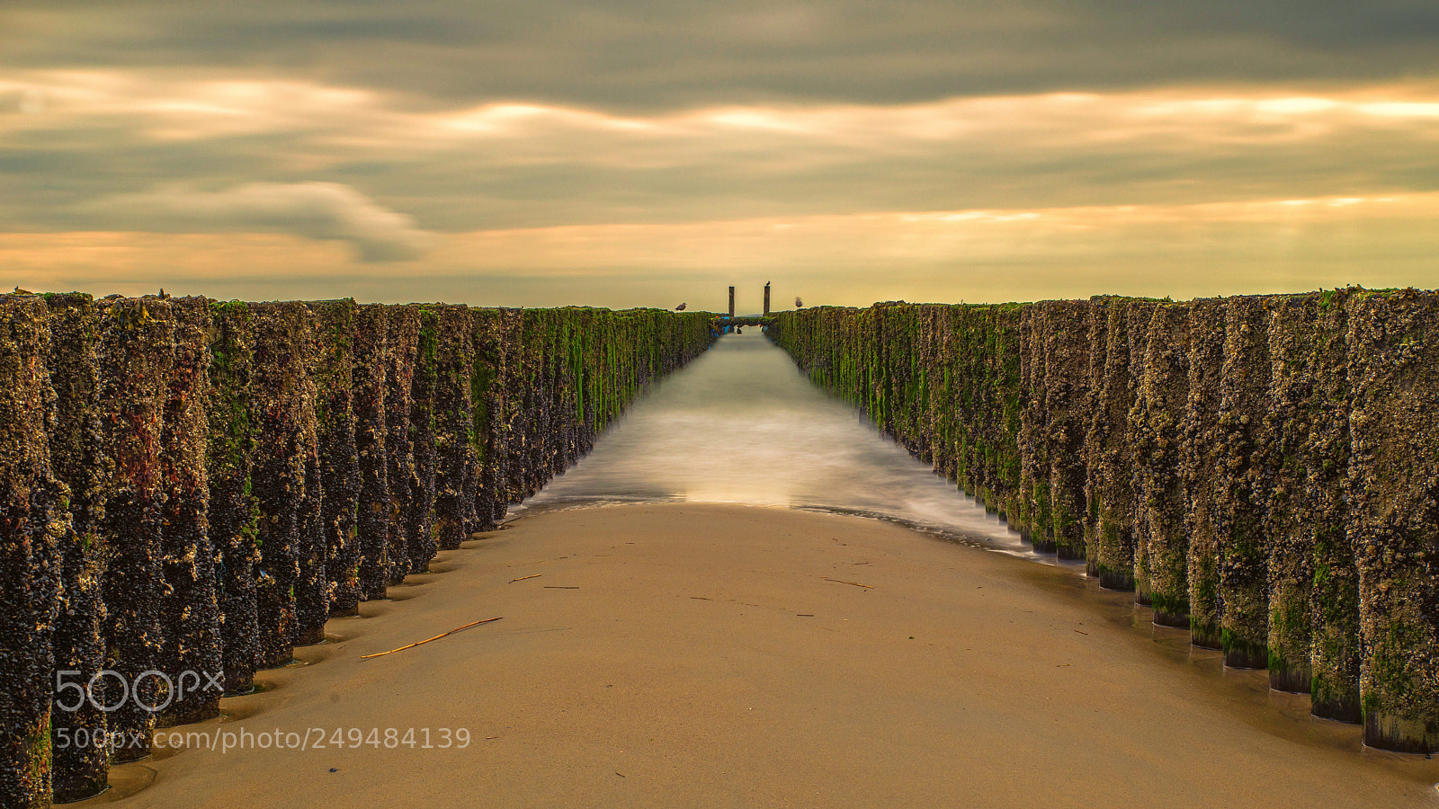 Pentax K-1 sample photo. Zeeland i photography