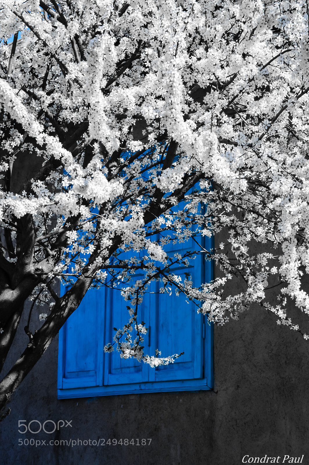 Nikon D3200 sample photo. Village photography