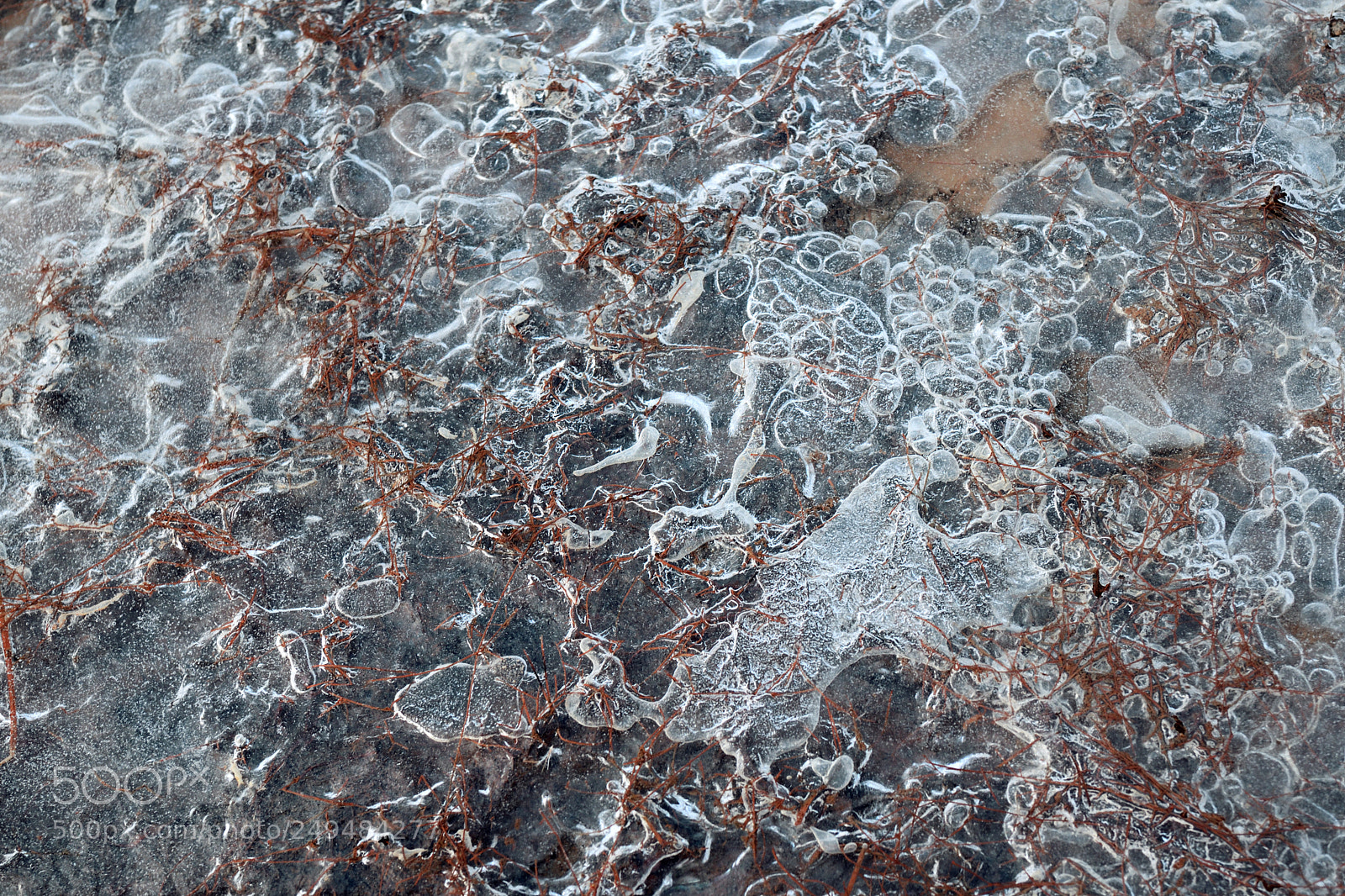Nikon D7500 sample photo. Encapsuled air photography