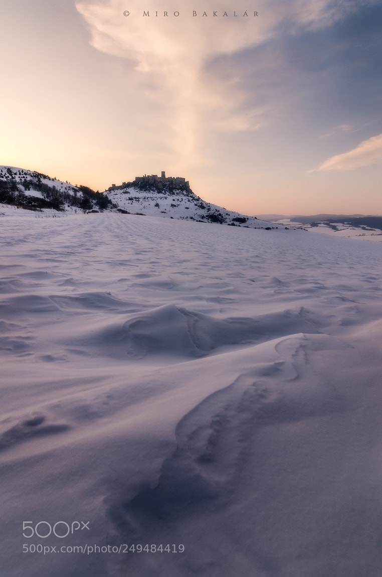 Nikon D7000 sample photo. (castle) photography