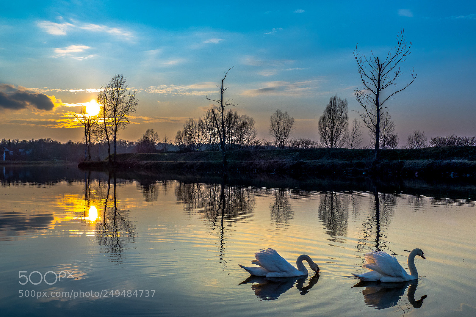 Panasonic Lumix DMC-FZ1000 sample photo. Swans and sunset photography