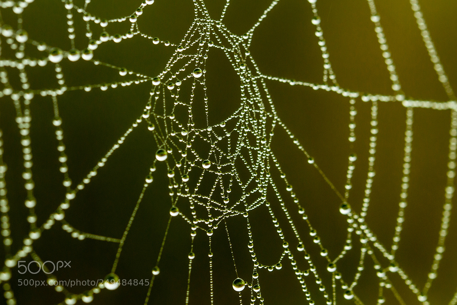 Canon EOS 700D (EOS Rebel T5i / EOS Kiss X7i) sample photo. Dream catcher photography