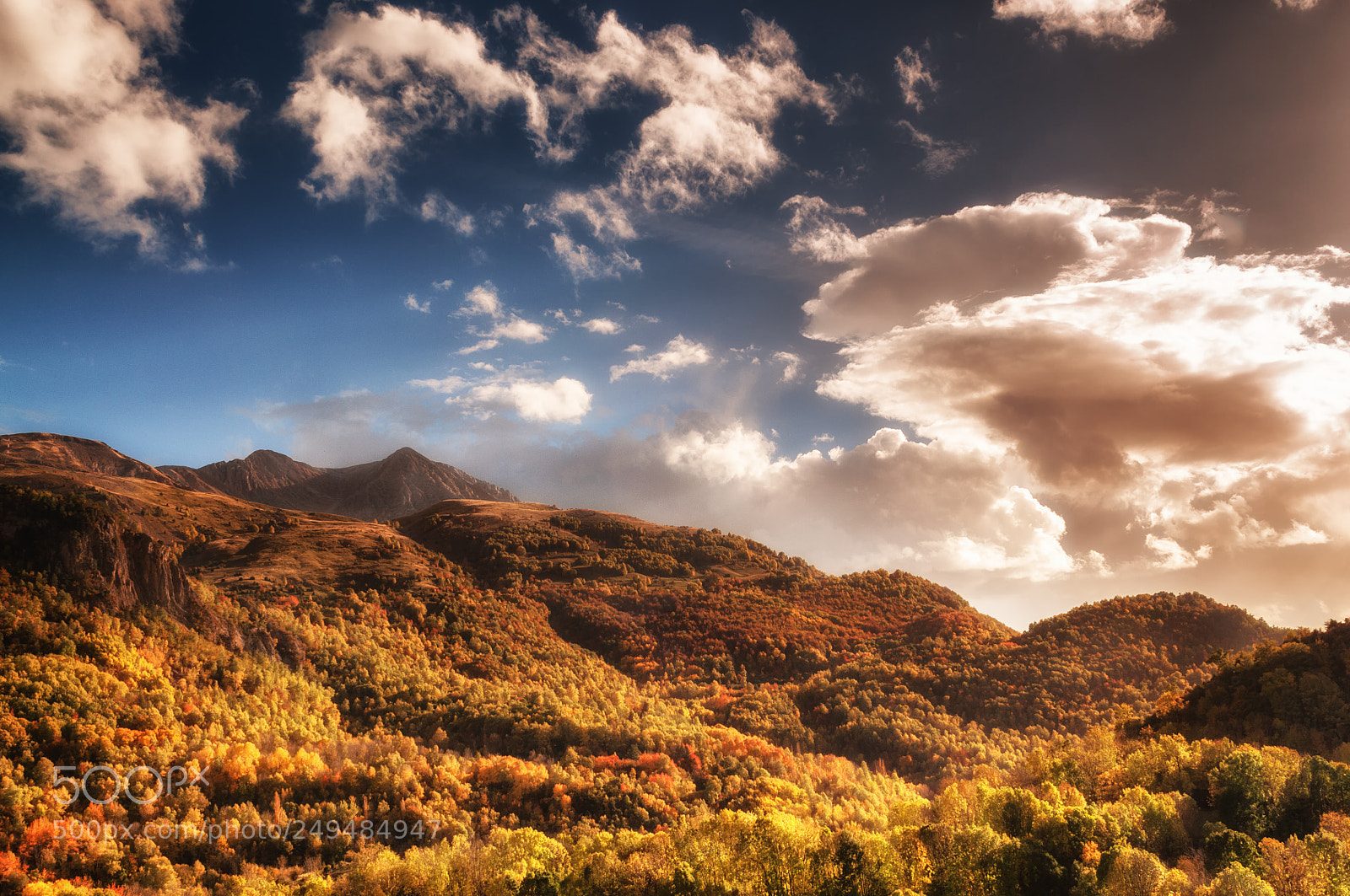 Nikon D5000 sample photo. Bosque encantadooo photography