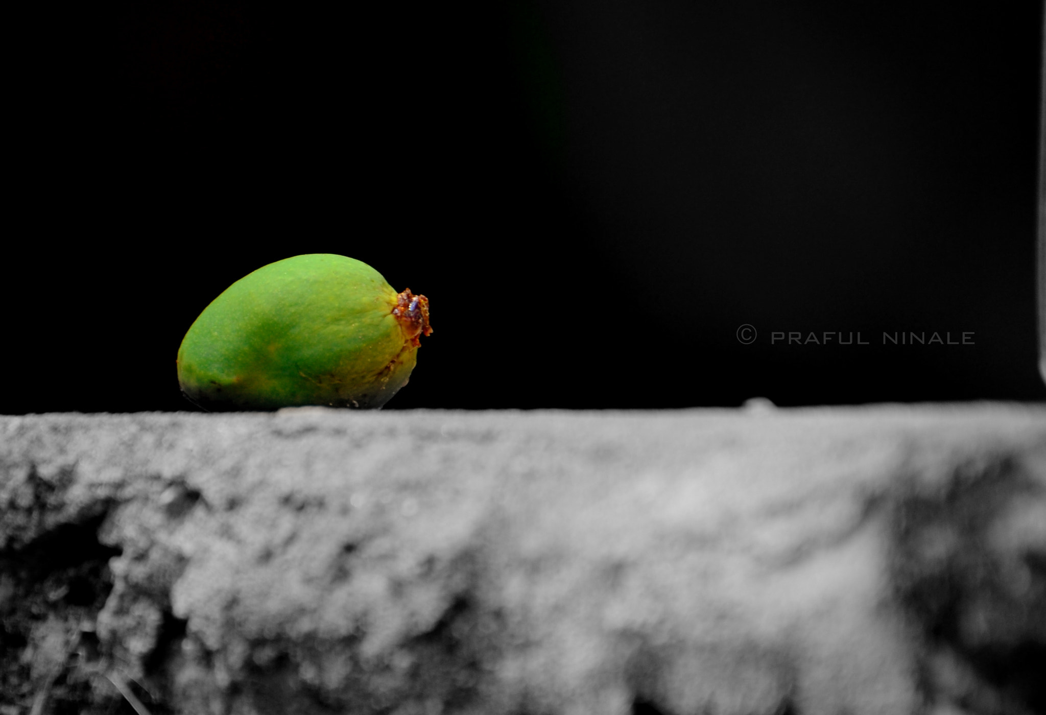 Nikon D3100 sample photo. Green in dark photography