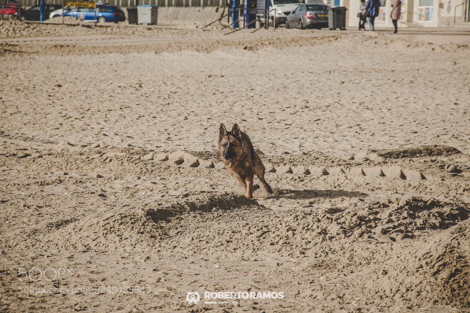 Canon EOS 60D sample photo. Wilder max photography