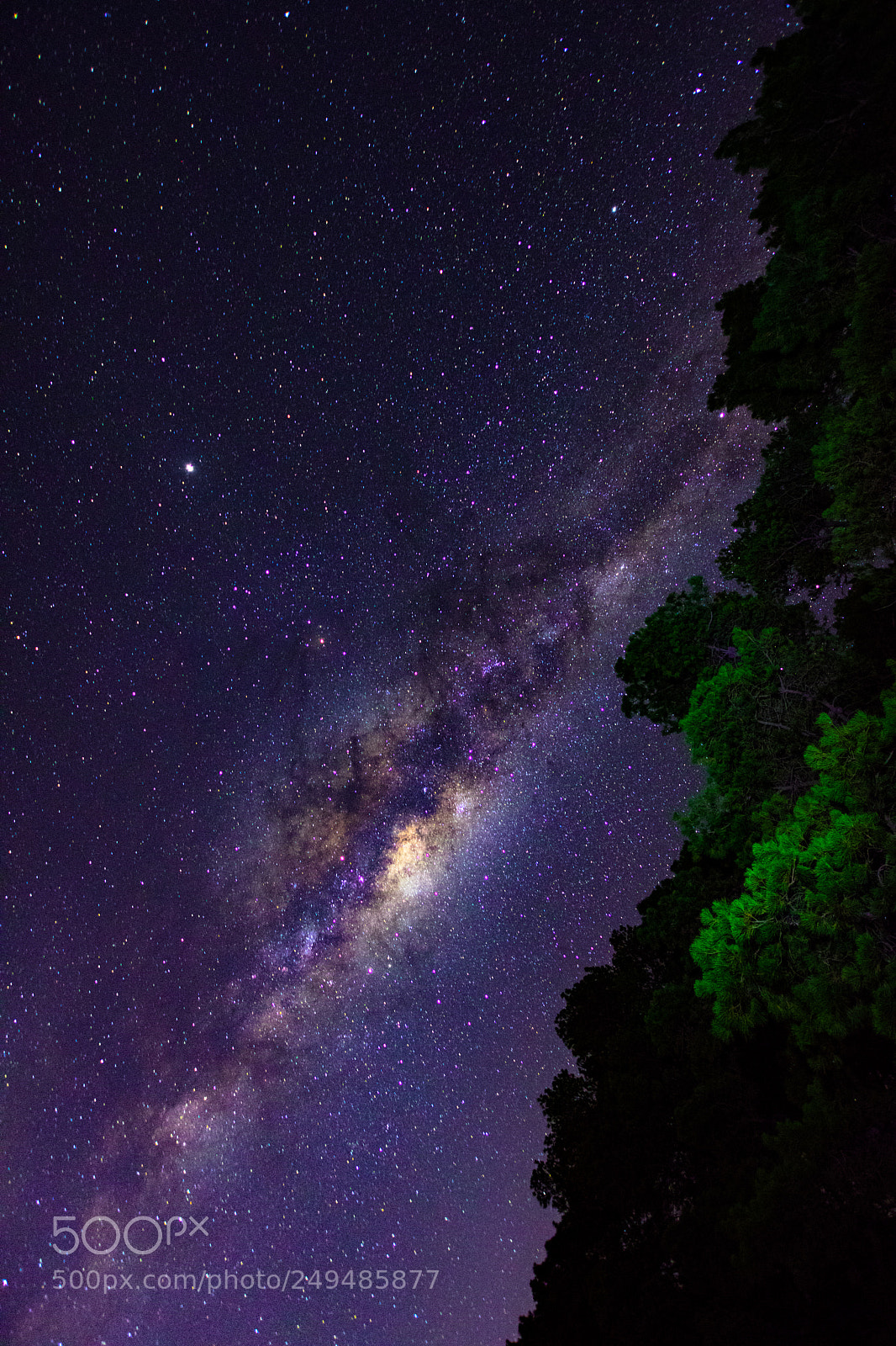 Nikon D500 sample photo. Purple skies photography