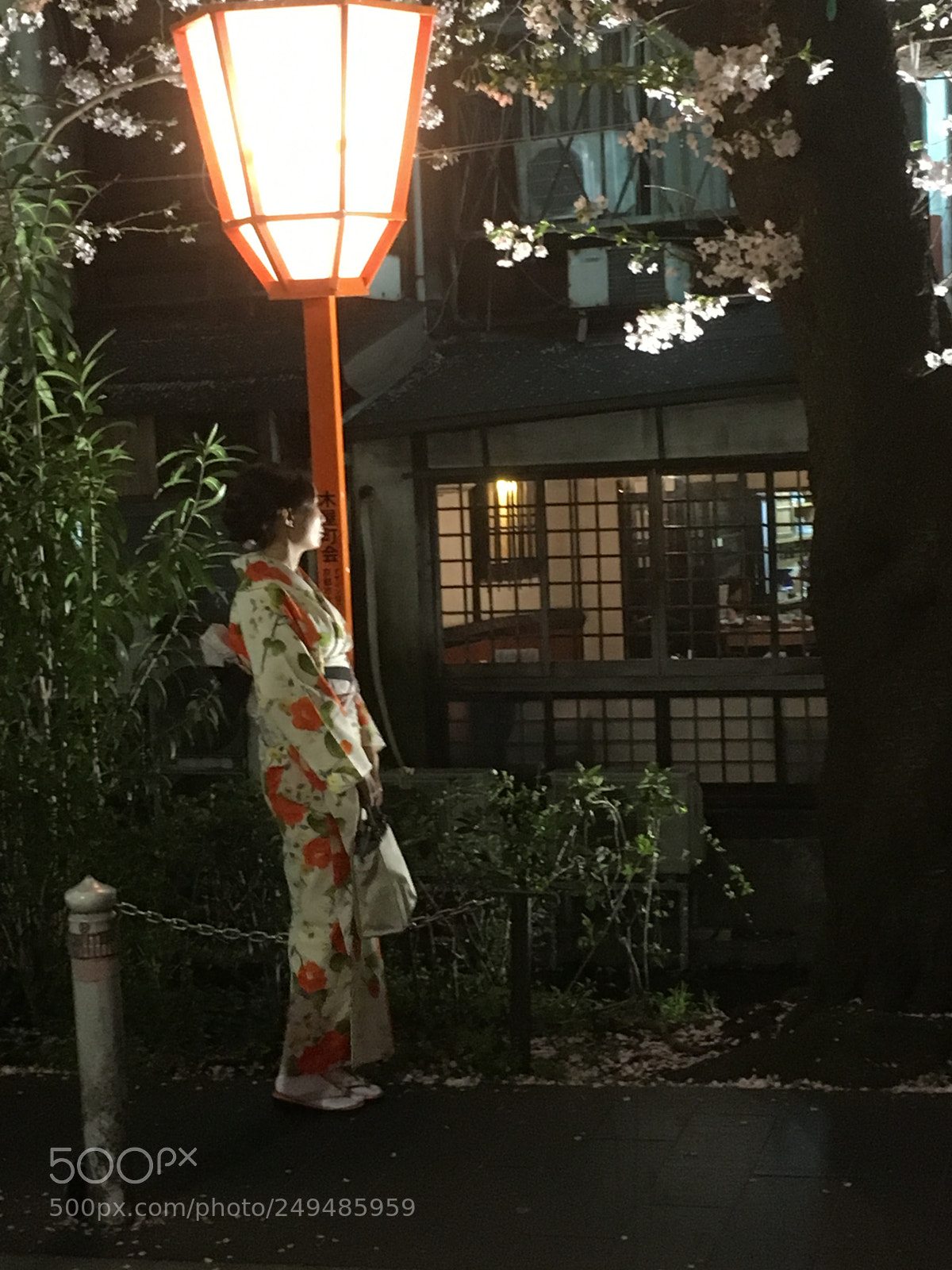Apple iPhone SE sample photo. Kyoto night photography