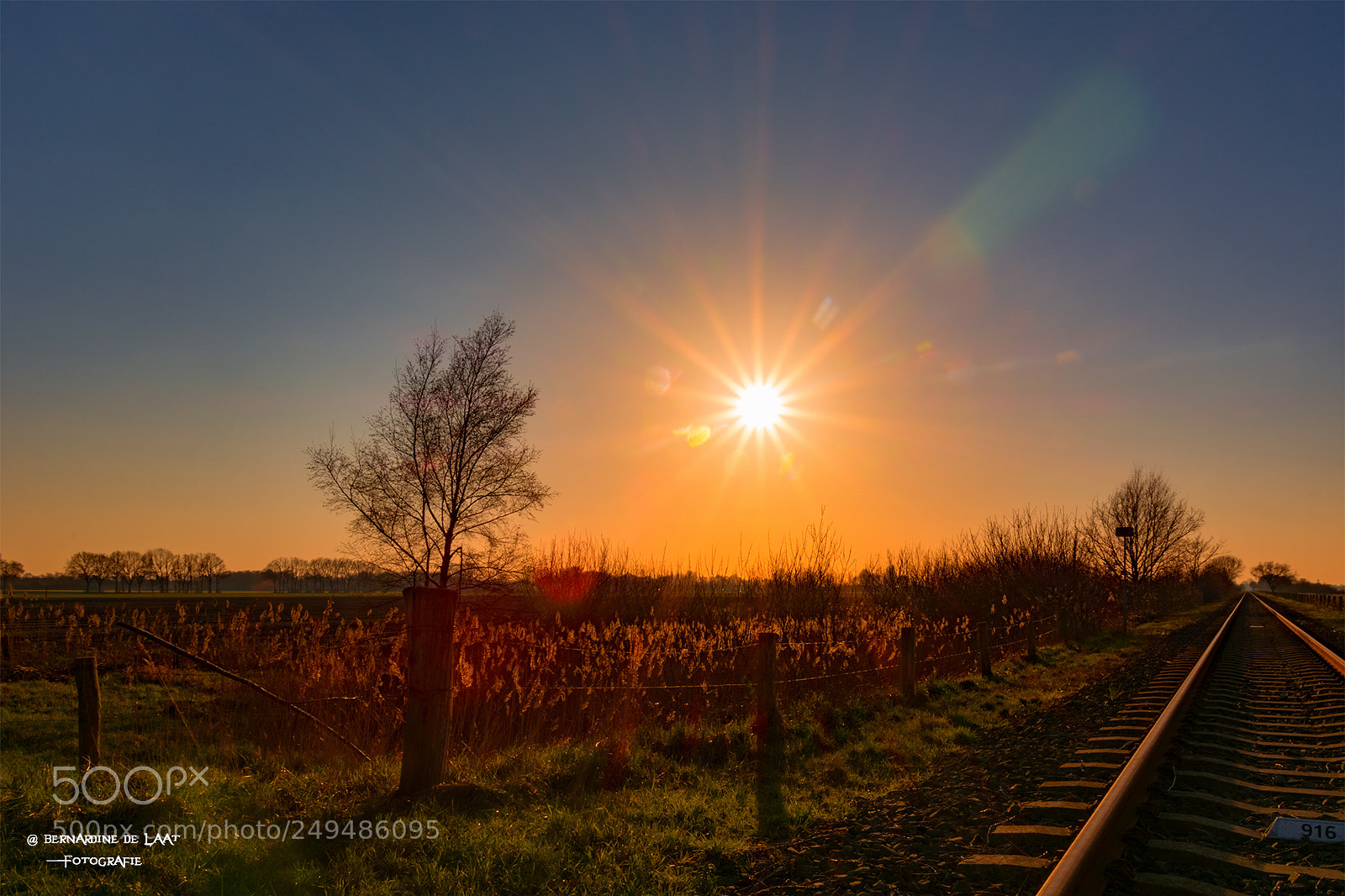 Nikon D7100 sample photo. Follow the sun photography