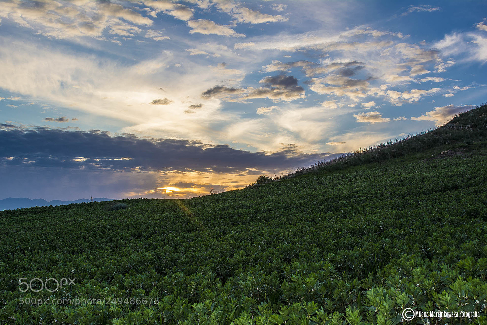 Nikon D5200 sample photo. Serrenti -  sardinia photography