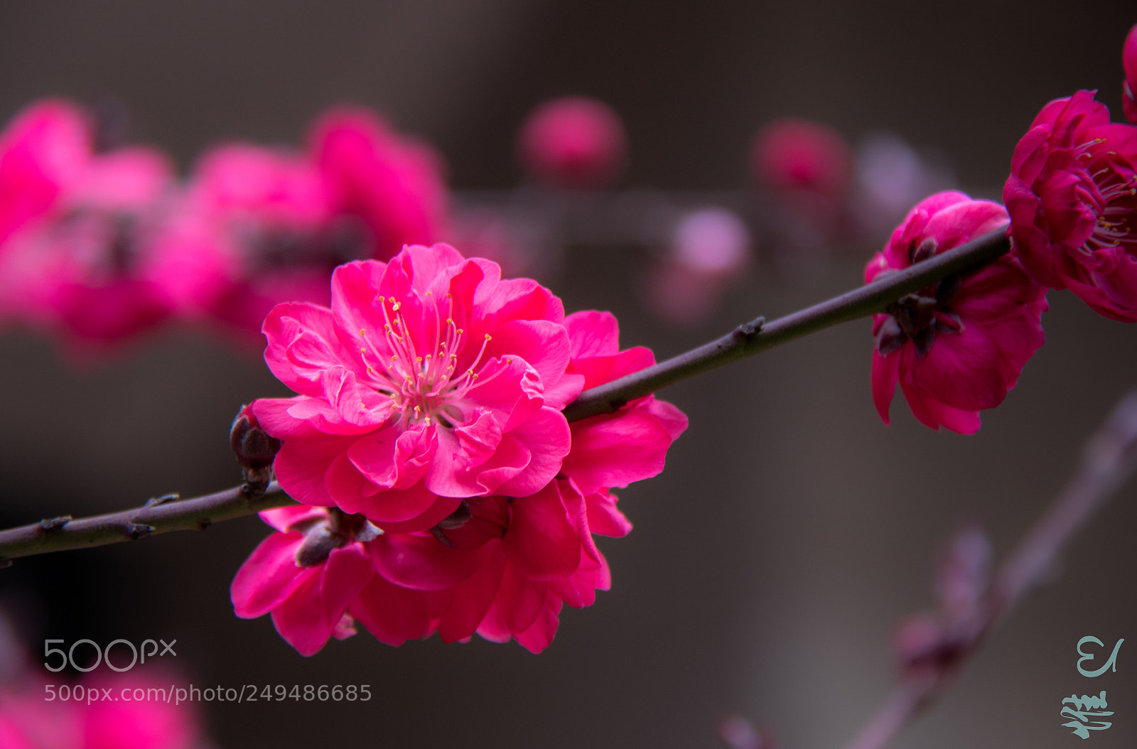 Canon EOS 80D sample photo. Untitled photography