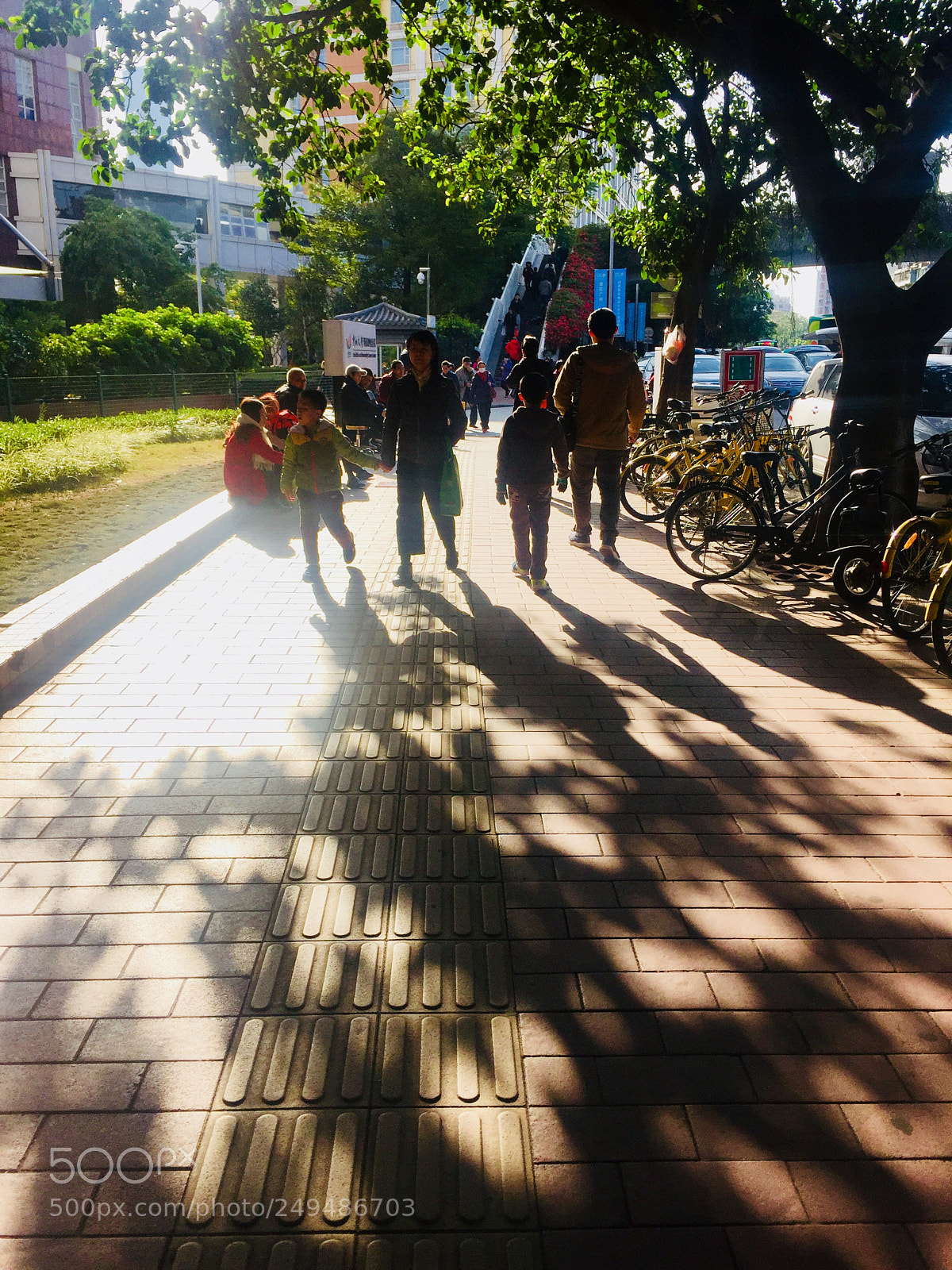 Apple iPhone 6 Plus sample photo. Untitled photography