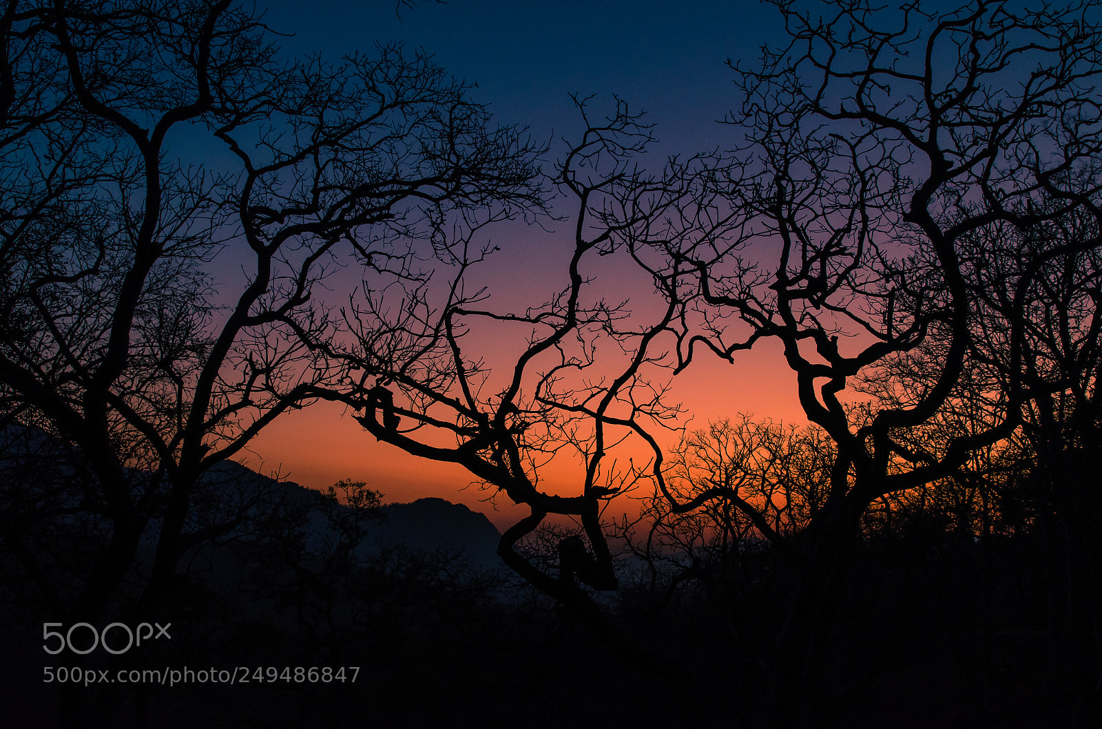 Nikon D5100 sample photo. Serene sunset !! photography