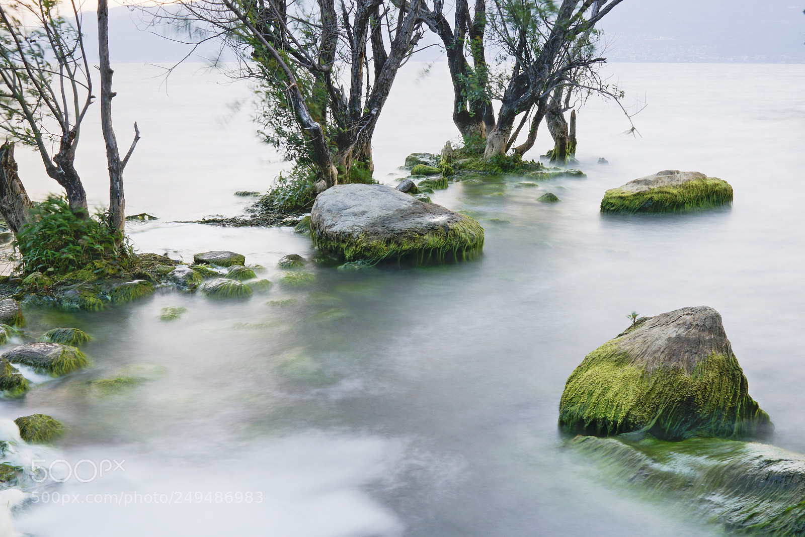 Sony a7R II sample photo. 大理-3 photography