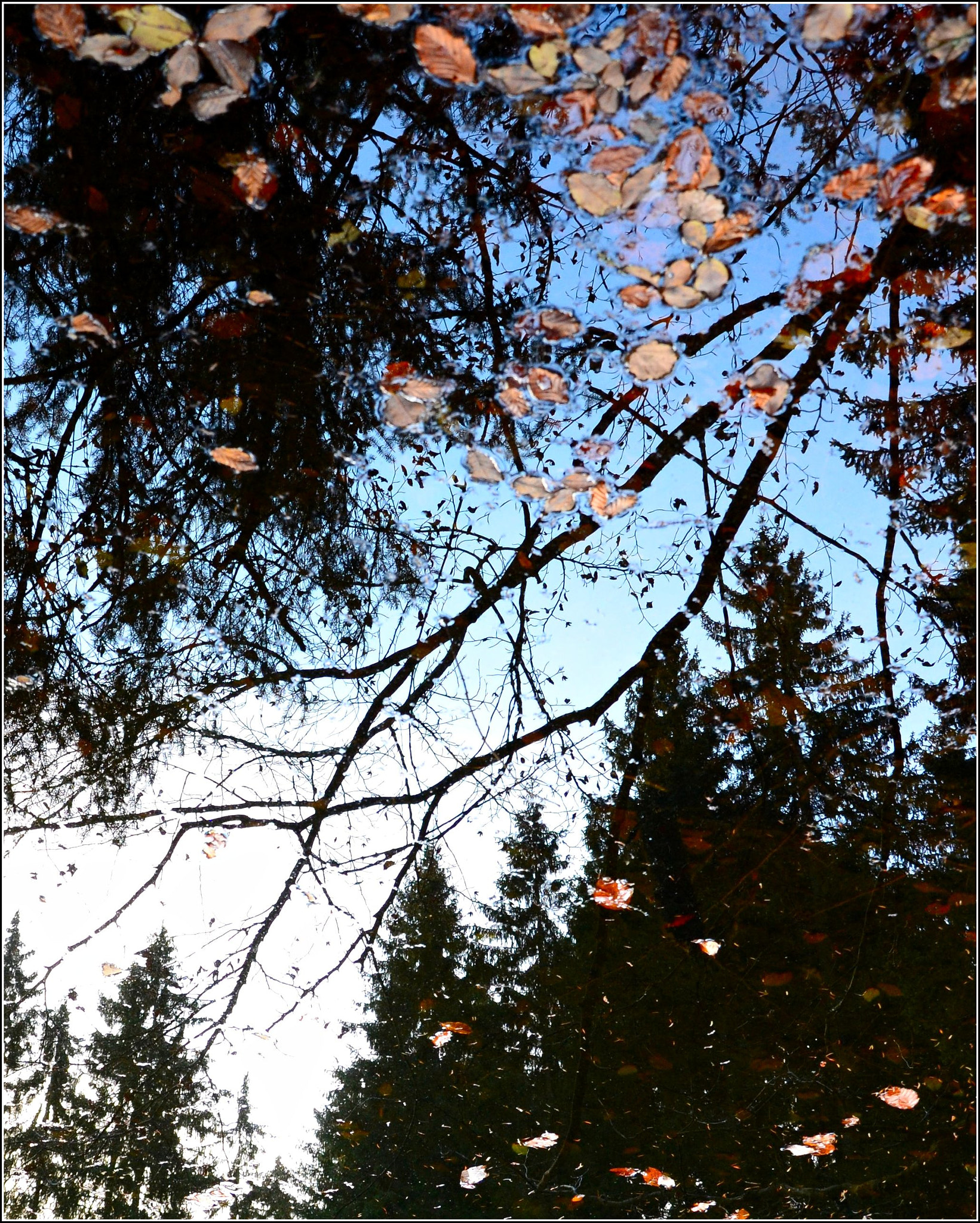 Nikon D3100 sample photo. Reflections photography