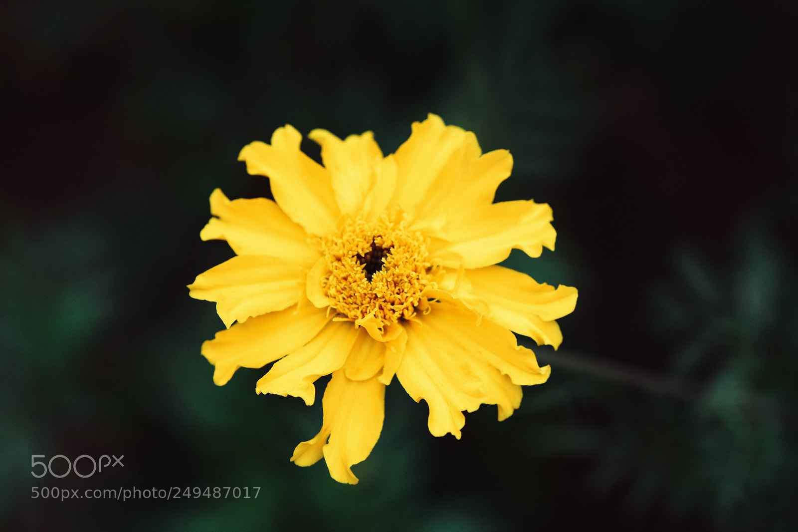 Nikon D7100 sample photo. Untitled photography