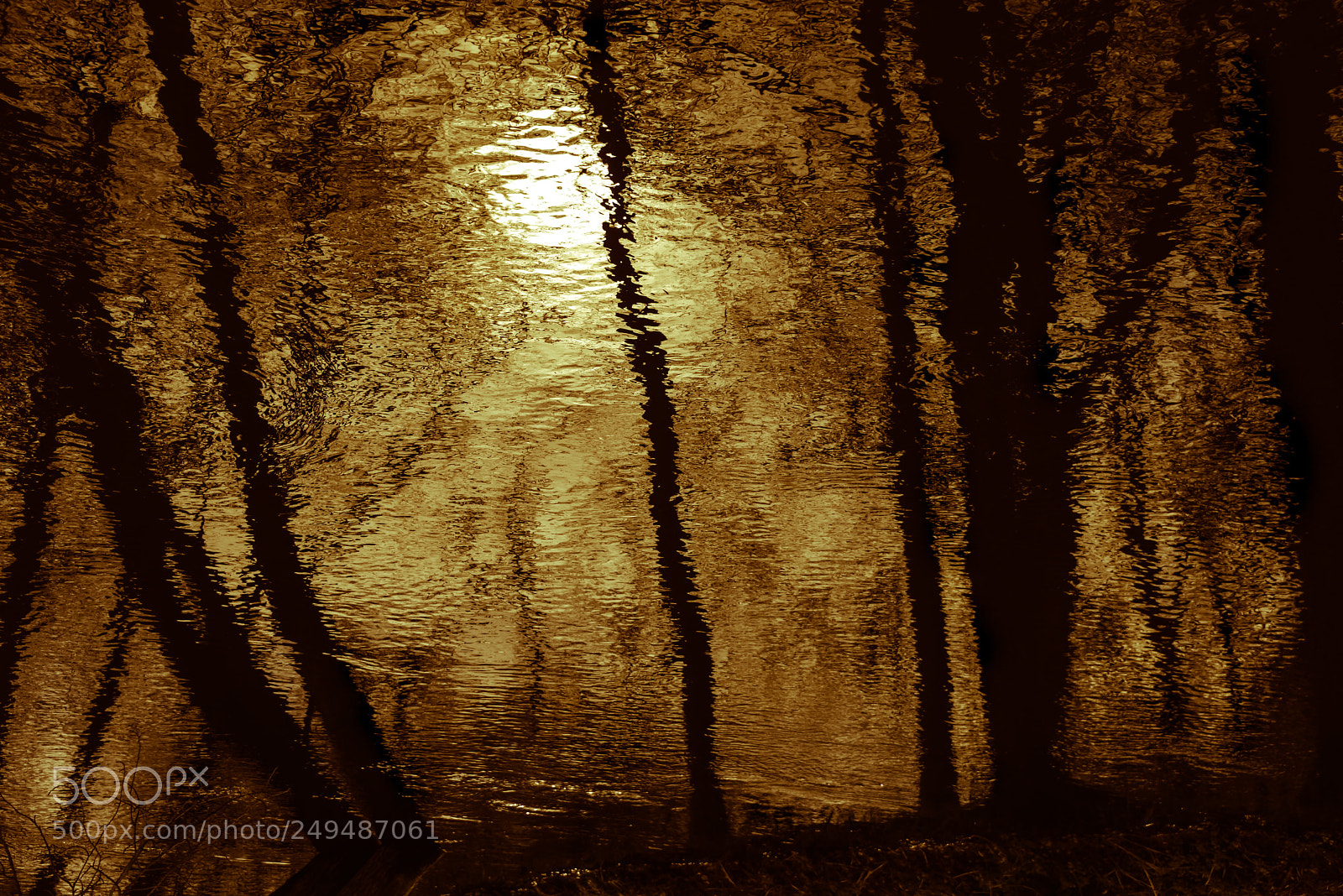 Nikon D810 sample photo. Sunset shimmer photography