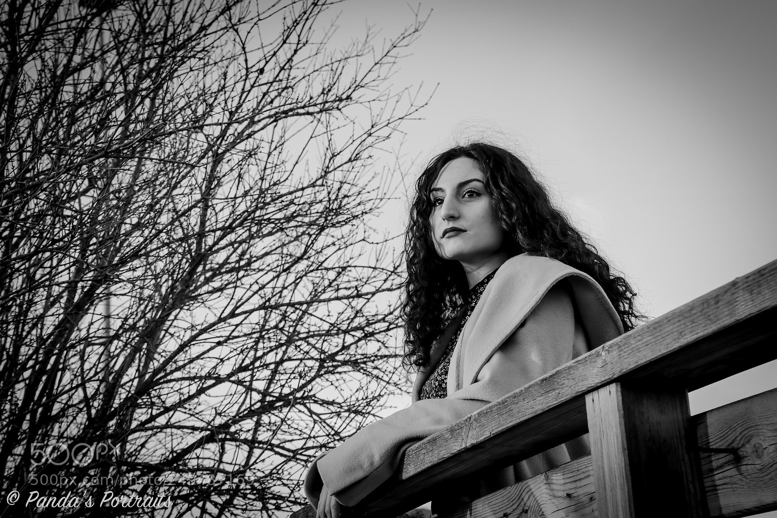 Canon EOS 80D sample photo. Grey sky photography