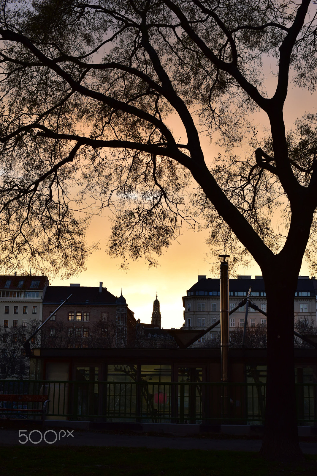 Nikon D750 + Nikon AF Nikkor 50mm F1.4D sample photo. Trees of vienna i photography