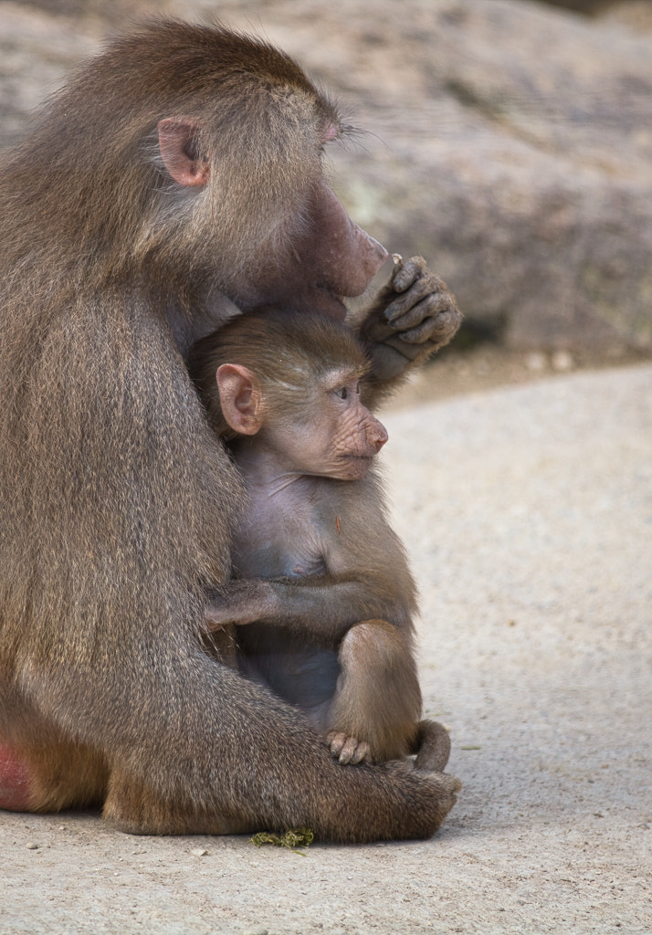 Canon EOS 750D (EOS Rebel T6i / EOS Kiss X8i) sample photo. Mother and child photography