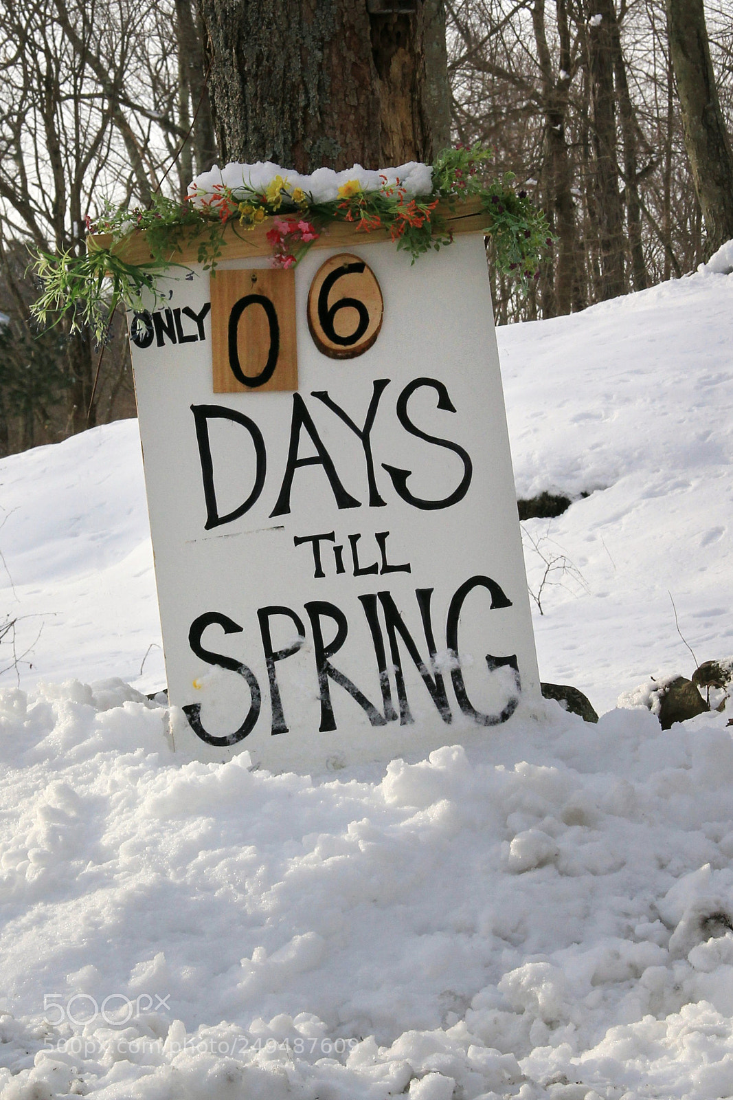 Canon EOS 60D sample photo. 6 days till spring photography
