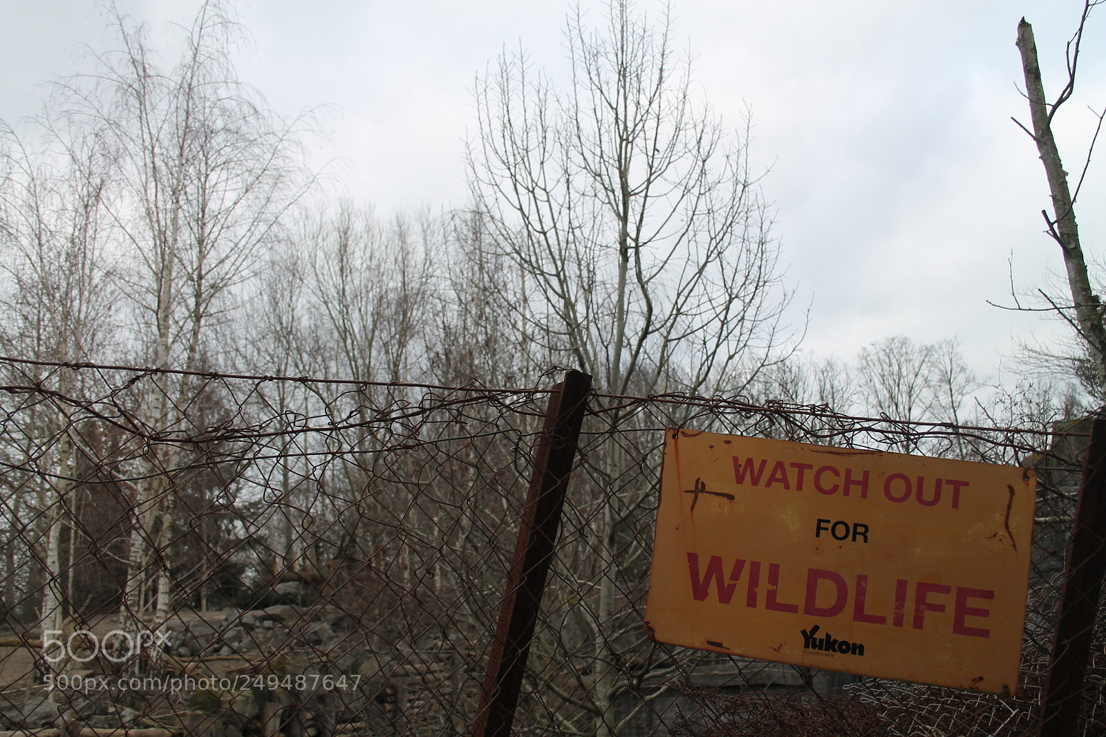Canon EF-S 18-55mm F3.5-5.6 II sample photo. Watch out for wildlife photography