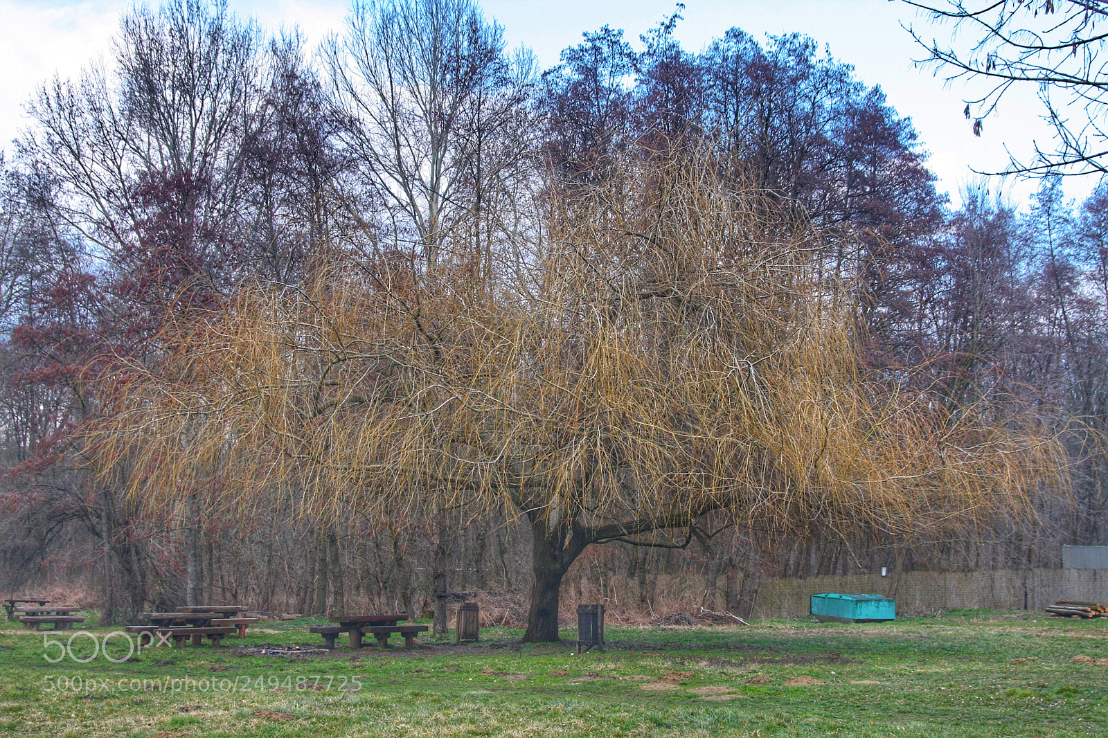 Canon EOS 40D sample photo. Untitled photography