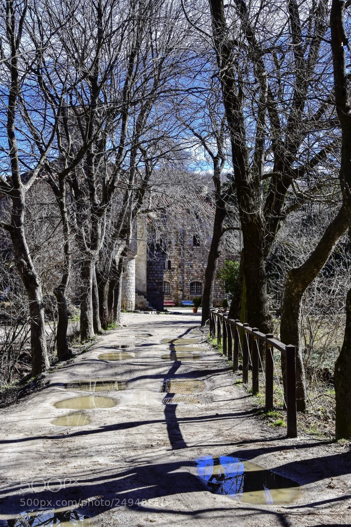 Nikon D7200 sample photo. Camino photography