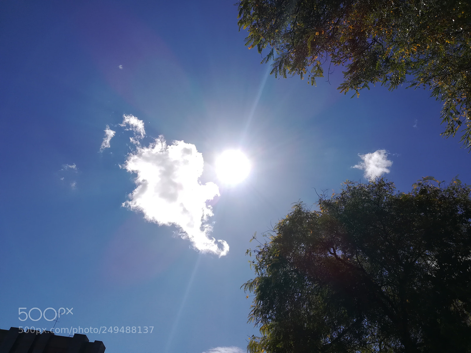 HUAWEI PRA-LX1 sample photo. Untitled photography
