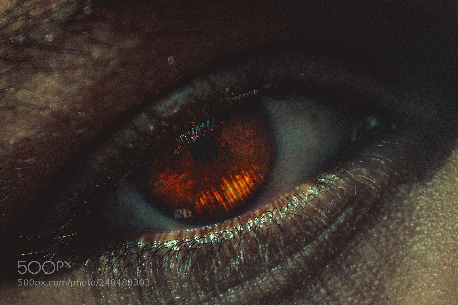 Nikon D5200 sample photo. Eye photography