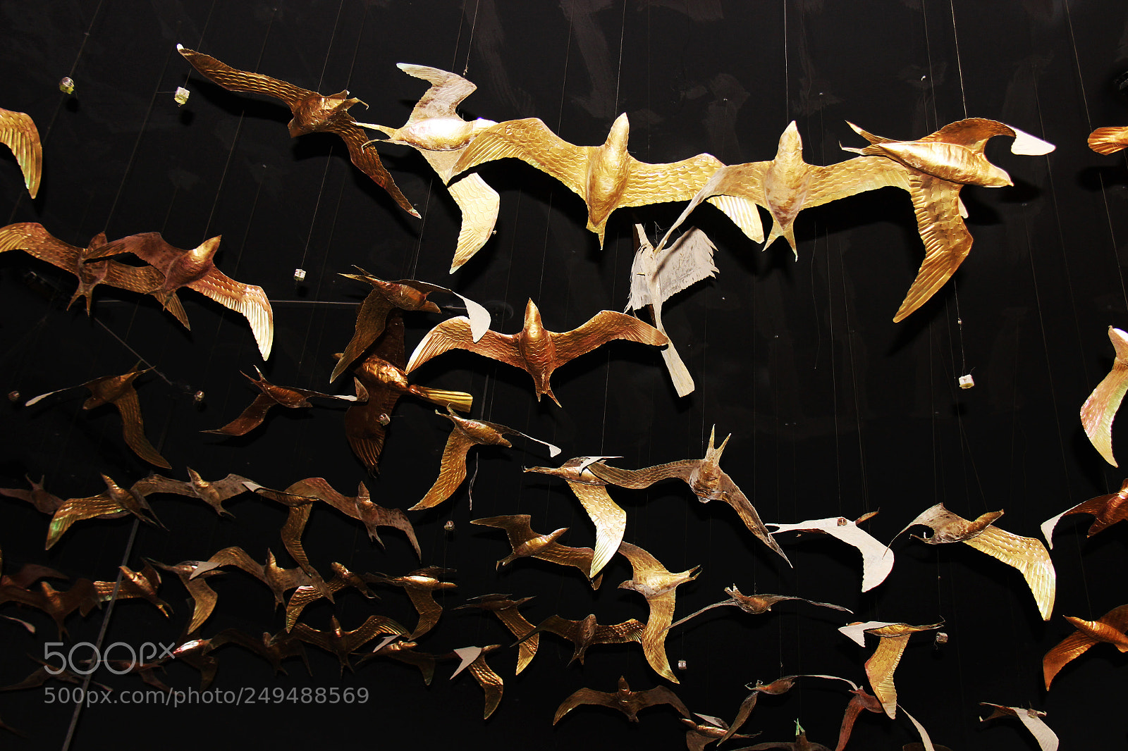 Canon EOS 600D (Rebel EOS T3i / EOS Kiss X5) sample photo. Migratory bird ♥ photography