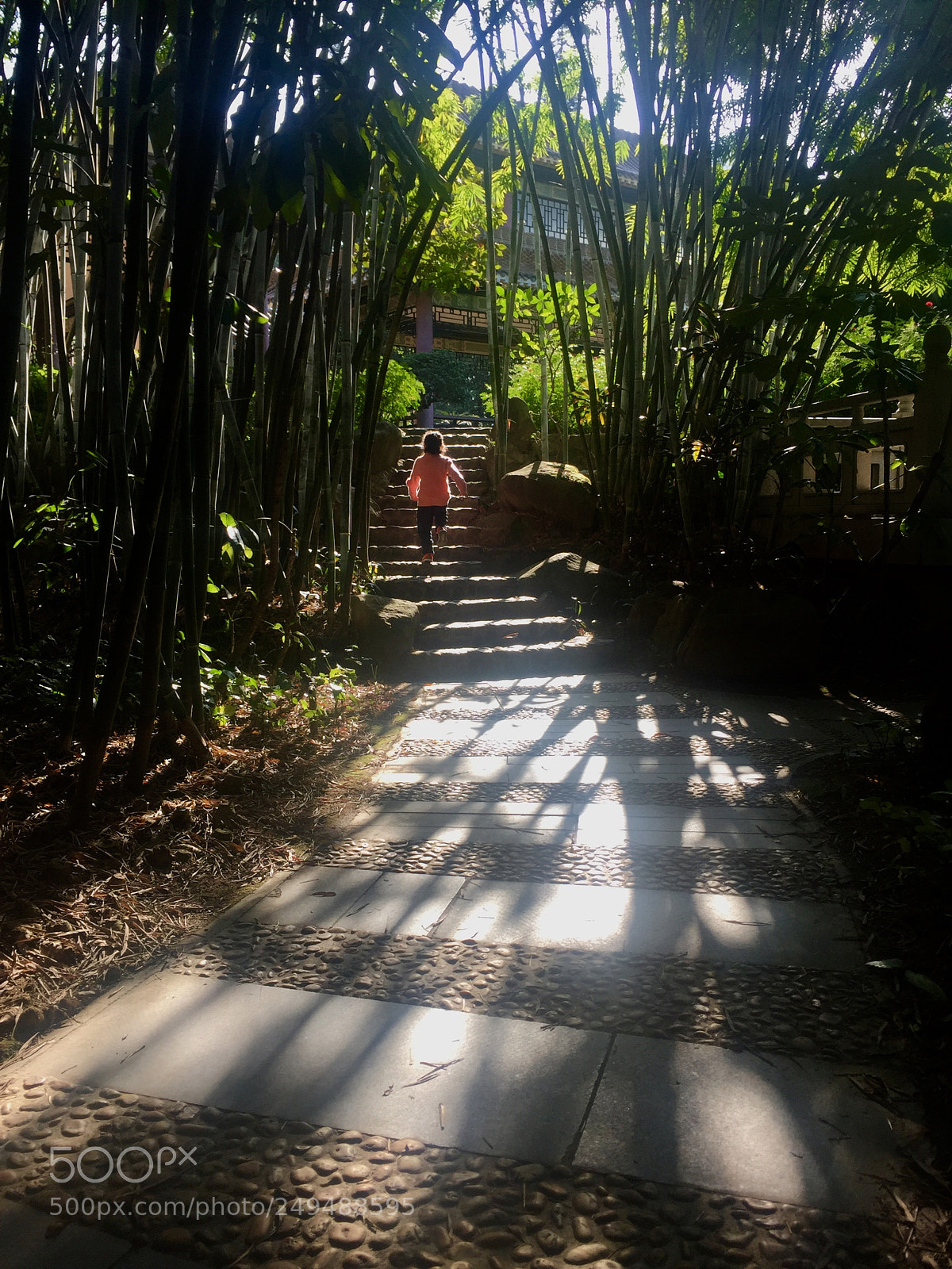 Apple iPhone 6 Plus sample photo. Untitled photography