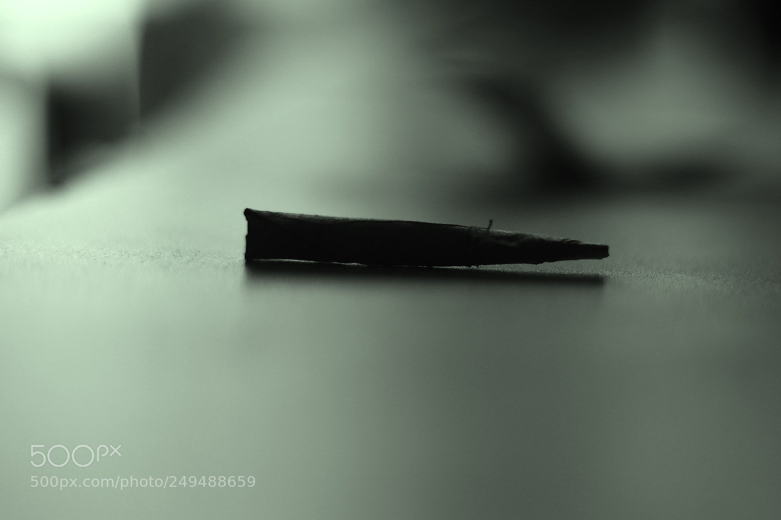 Canon EOS 5D Mark IV sample photo. Untitled photography