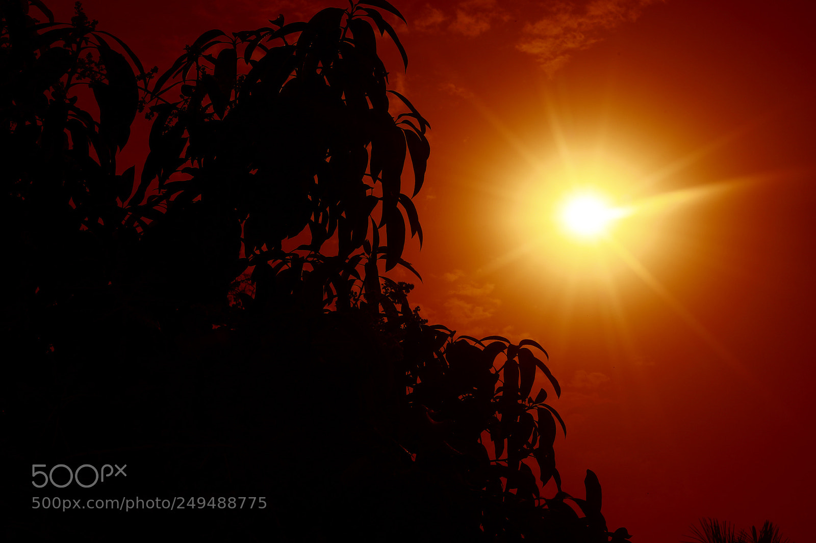 Canon EOS 5D Mark IV sample photo. Untitled photography