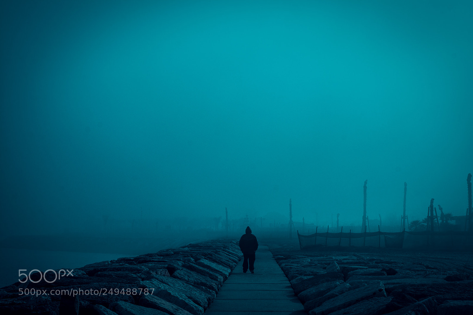 Nikon D7100 sample photo. The fog photography