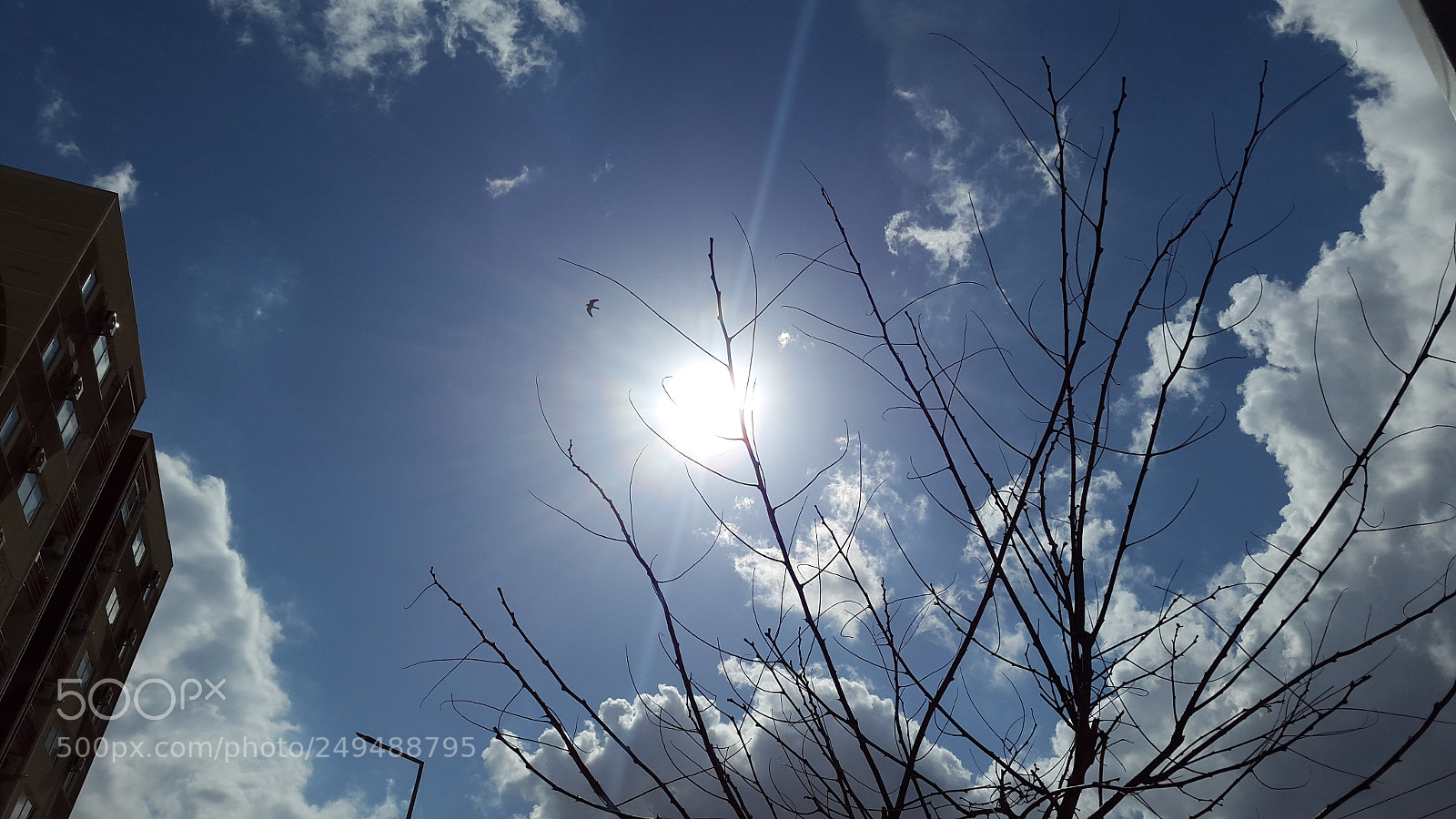 Samsung Galaxy S5 sample photo. Nawro city photography