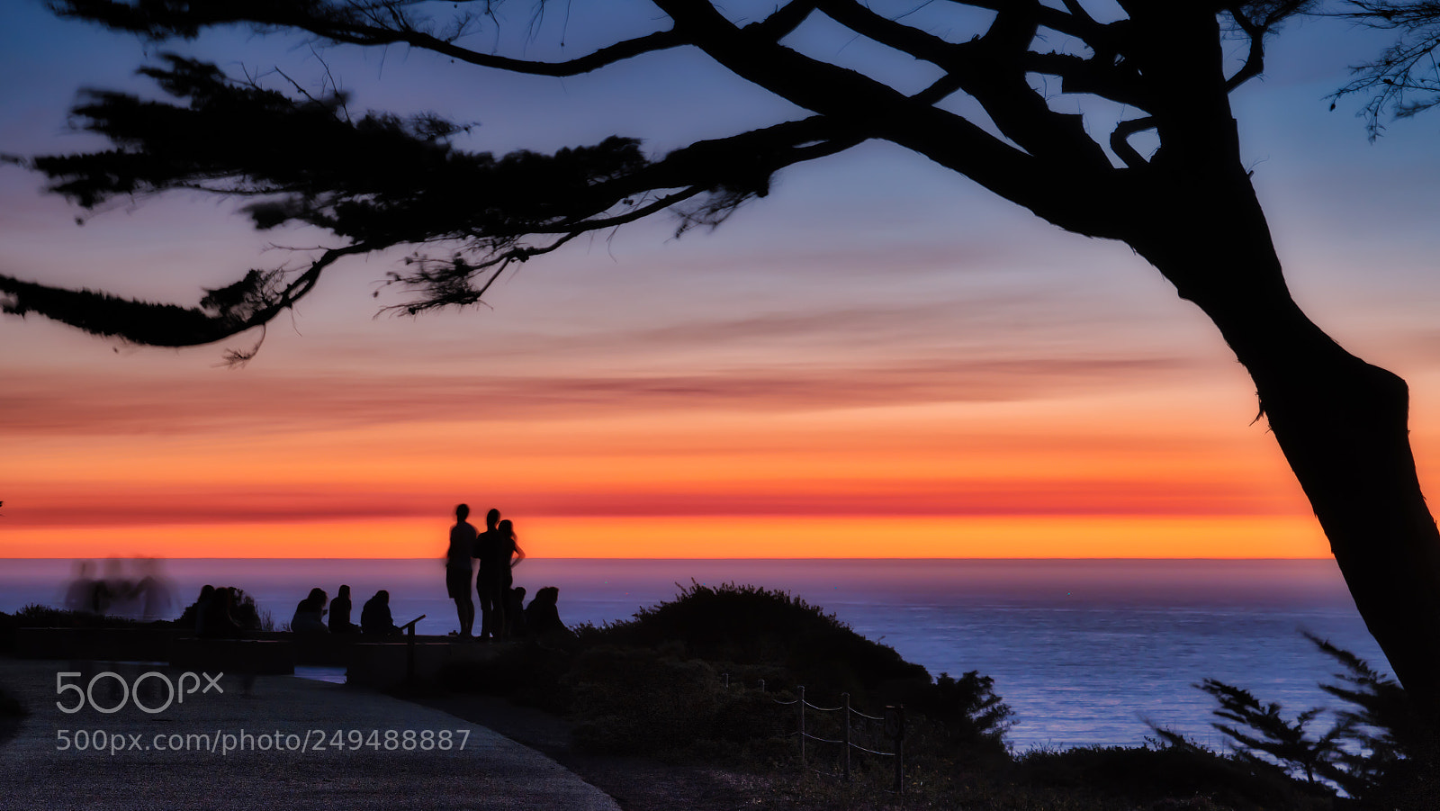 Sony a7R II sample photo. Lands end lookout photography